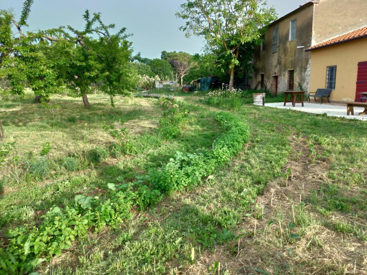 Casa Daria, Armonia Del Passato Nel Rispetto Della Natura ドノラティコ エクステリア 写真