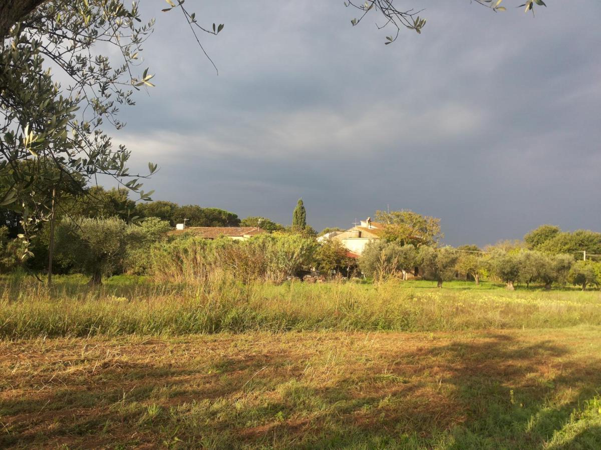 Casa Daria, Armonia Del Passato Nel Rispetto Della Natura ドノラティコ エクステリア 写真