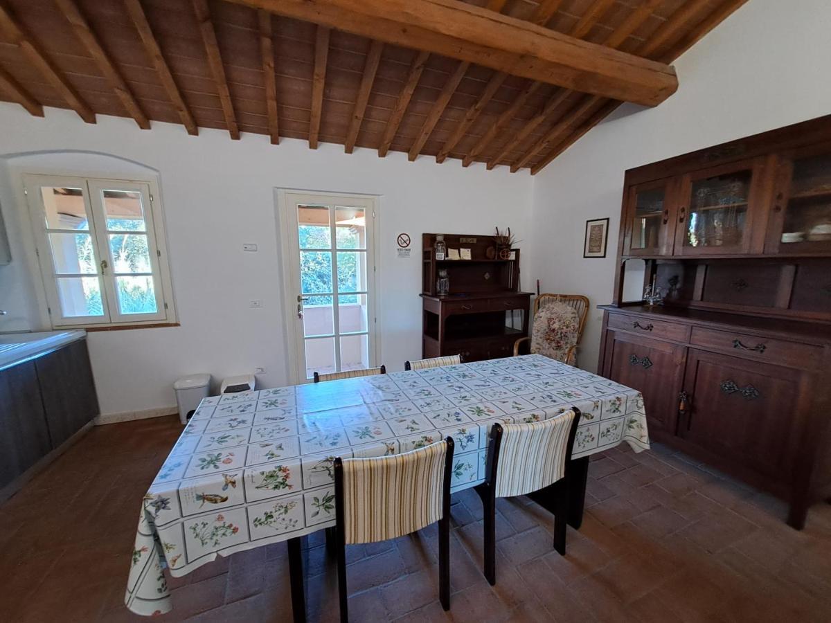 Casa Daria, Armonia Del Passato Nel Rispetto Della Natura ドノラティコ エクステリア 写真